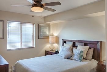 Ceiling fan*
